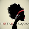 Merinos_Koyunu