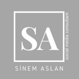 sasconsultant 